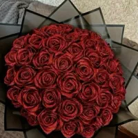 گل روبانی