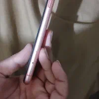 iPhone xr|موبایل|باهوکلات, |دیوار