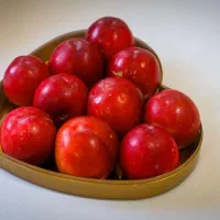 میوه سرای باغینو