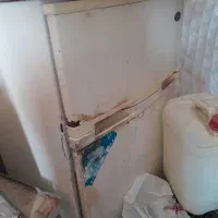 یخچال وکولرربر میداریم