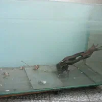 شیشه اکواریوم