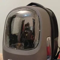 باکس گربه سگ