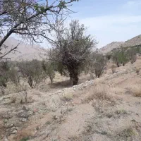 زمین ۷۲۰ متری طزرجان