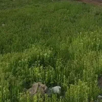 کارگرسرچاه و دنبال کار دائم هستم