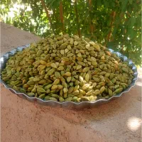هل اکبر بنفش لوکس