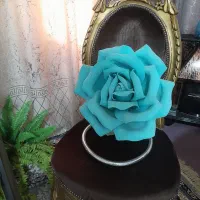 گل رز فومی