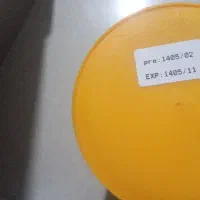 توجه به عکس
