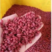 زرشک پفکی درجه یک خراسان