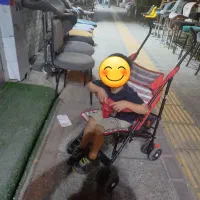 کالسکه عصایی