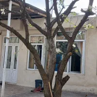 سوئیت-دربستی