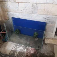 اکواریوم