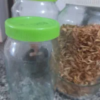 ۴۰تاشیشه  مخصوص رب خیارشورومربا