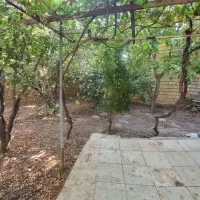 فروش-زمین