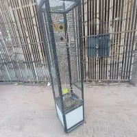 قفس ایستاده فانتزی