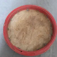 دایره قدیمی پوست اصل نسوز در حد نو