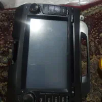 ظبط