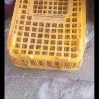 سبد قفس مرغی