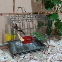 سهره