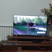 نیاز به خرید  یک واحد دو خوابه