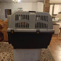 باکس مسافرتی حیوانات