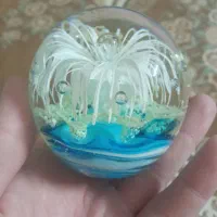 شب نما آکواریومی شیشه ای نشکن