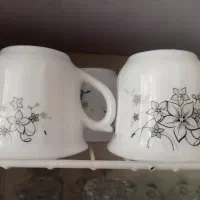 فنجان ارکوپال