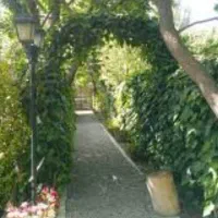 زمین به مساحت ۲۰۰۰ متر طرشت