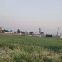 فروش زمین