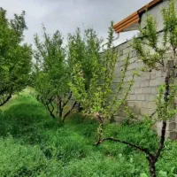 500-متر-زمین-باغ-باغچه-سرخاب-تهراندشت-سهیلیه