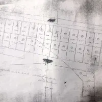 زمین روستای لنگرود(املاک سفیدگران)