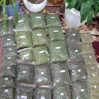 سبزی رامهرمز خوزستان
