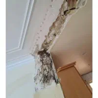 کاشیکاری گچکاری. خرده کاری.رفع نم و رطوبت کلی جزیی
