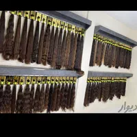 معتبرترین مرکز اصلی خرید مو در نهاوند (خریدارمو )