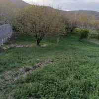 یک بخاری گازی  پاییزان و یک تیوست مشکی سولان