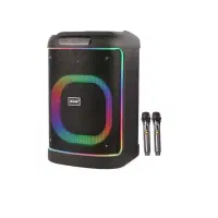 اسپیکر بلوتوثی برودو BTS-2103 + میکروفون