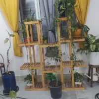 استند گل