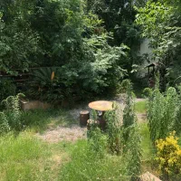 فروش زمین/ابتدای چمران/۴/۵فرم