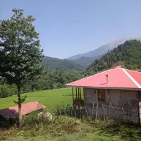 اجاره ویلا جنگلی