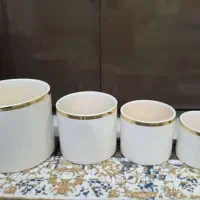 گلدون|گل و گیاه طبیعی|اندیمشک, |دیوار