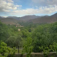 استخدام مدیر رنج و مشاور