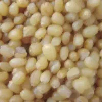 یارما