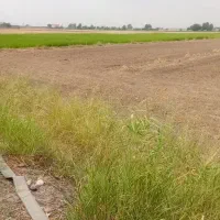 3000متر-مستطیل-10-times-300متر-زمین-کشاورزی