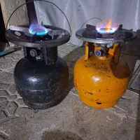 پیک نیک سالم