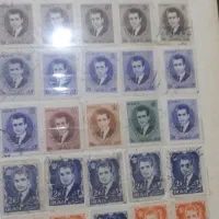 البوم تمره کلکسیونی