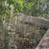 خانه باغ و ۵۰ عدد درخت