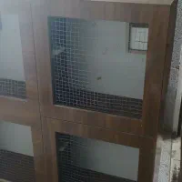 قفس عروس هلندی