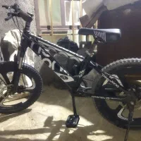 دوچرخه۲۰حرفه ای