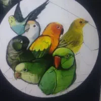نرسوراخ پلنگ