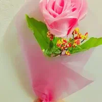 گل ربانی|گل مصنوعی|رشت, سلیمانداراب|دیوار