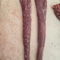 مغز راسته گوسفندی،دمار گوسفندی،خورده راسته گوسفندی